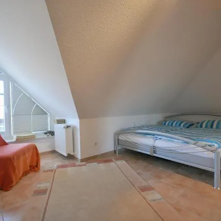 Rossini 8 * וגנרוגה