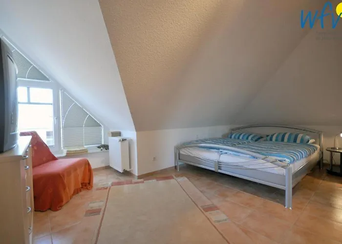 Rossini 8 * ヴァンガーオーゲ